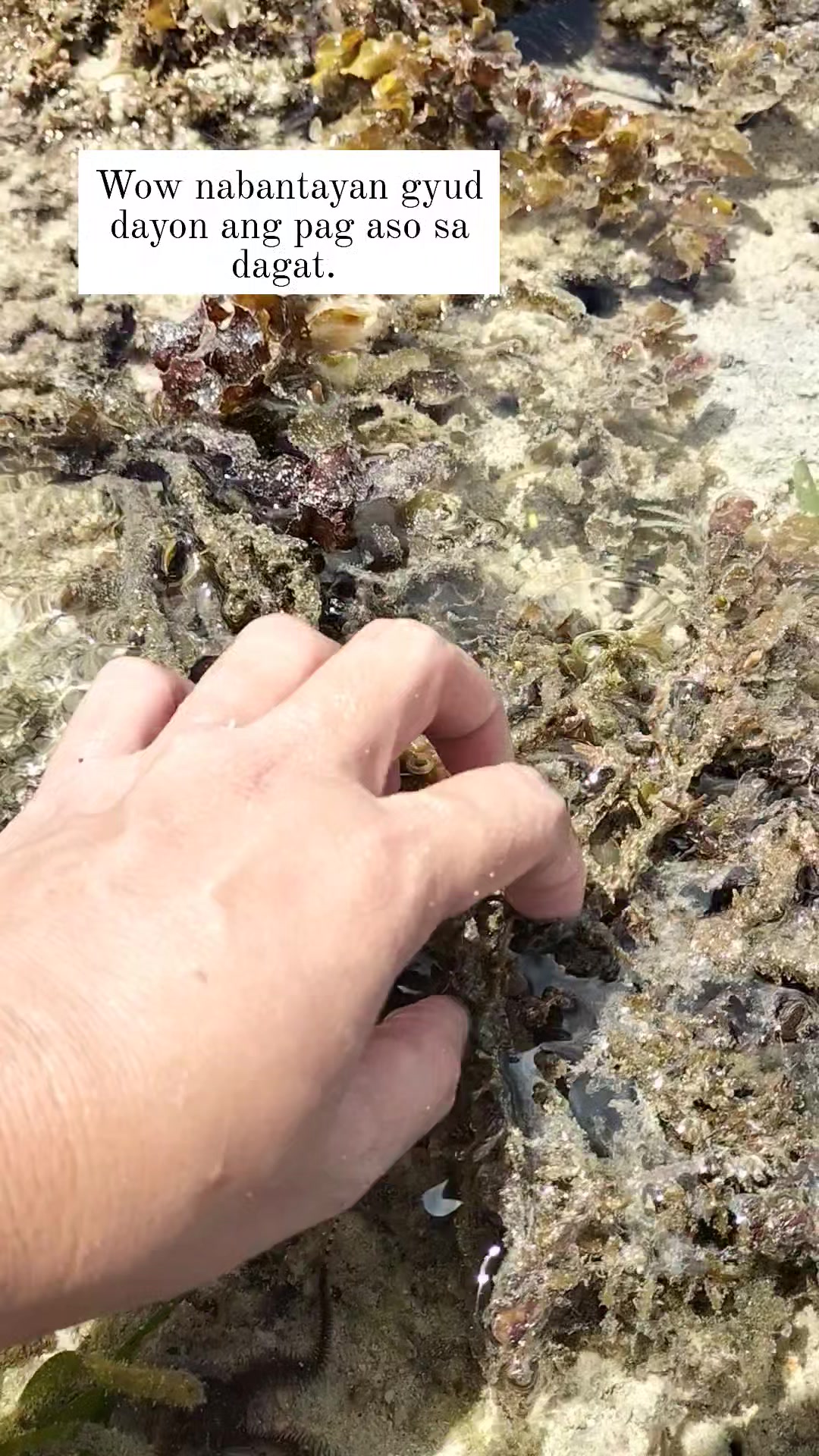 Kadaghan sa lukot naa gyuy Bug-atan. #seashorevibes #seaadventure # ...