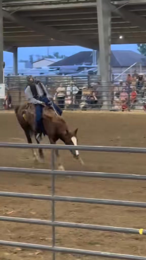 Assumption Parish FFA Rodeo 2025 #explorelouisiana | Cajun Rodeo ...