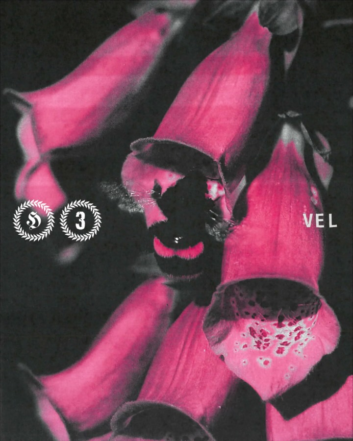 It's official! Our 10-year, 10-artist compilation is out now