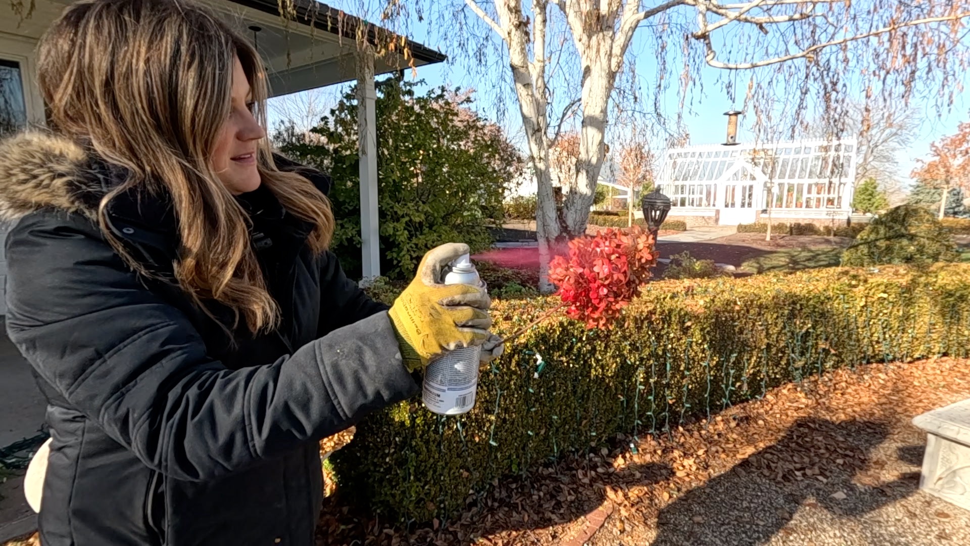6 Winter Containers! 🪴🎄❤️ | Garden Answer