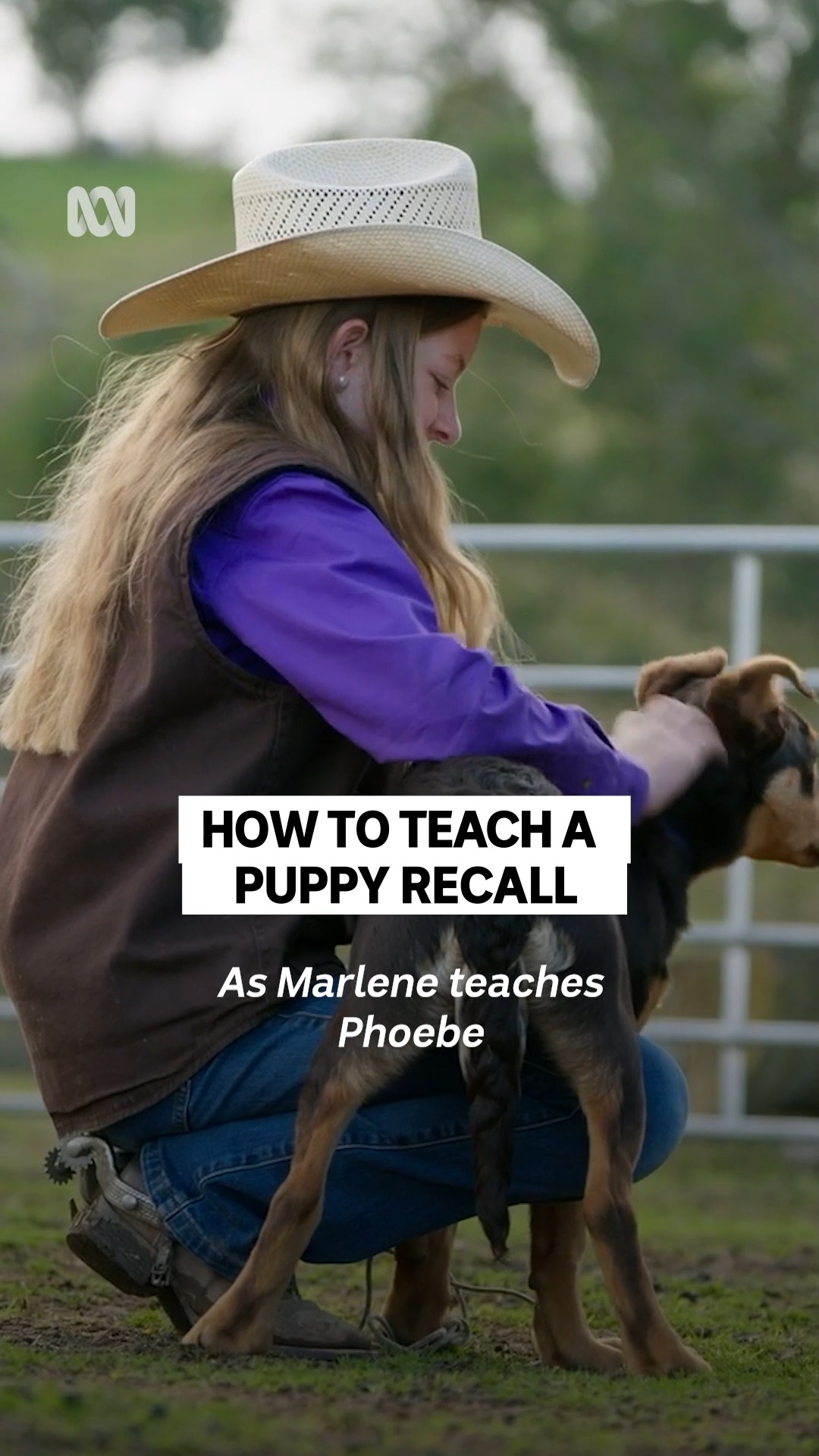 And that's how it's done 🤠 Muster Dogs: Where Are They Now — Stream now ...
