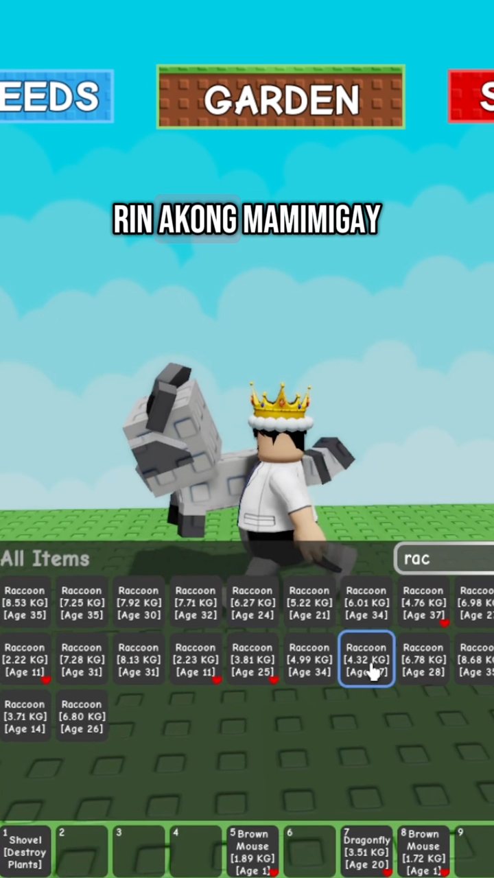 Cara Mendapatkan Raccoon di Grow a Garden Roblox