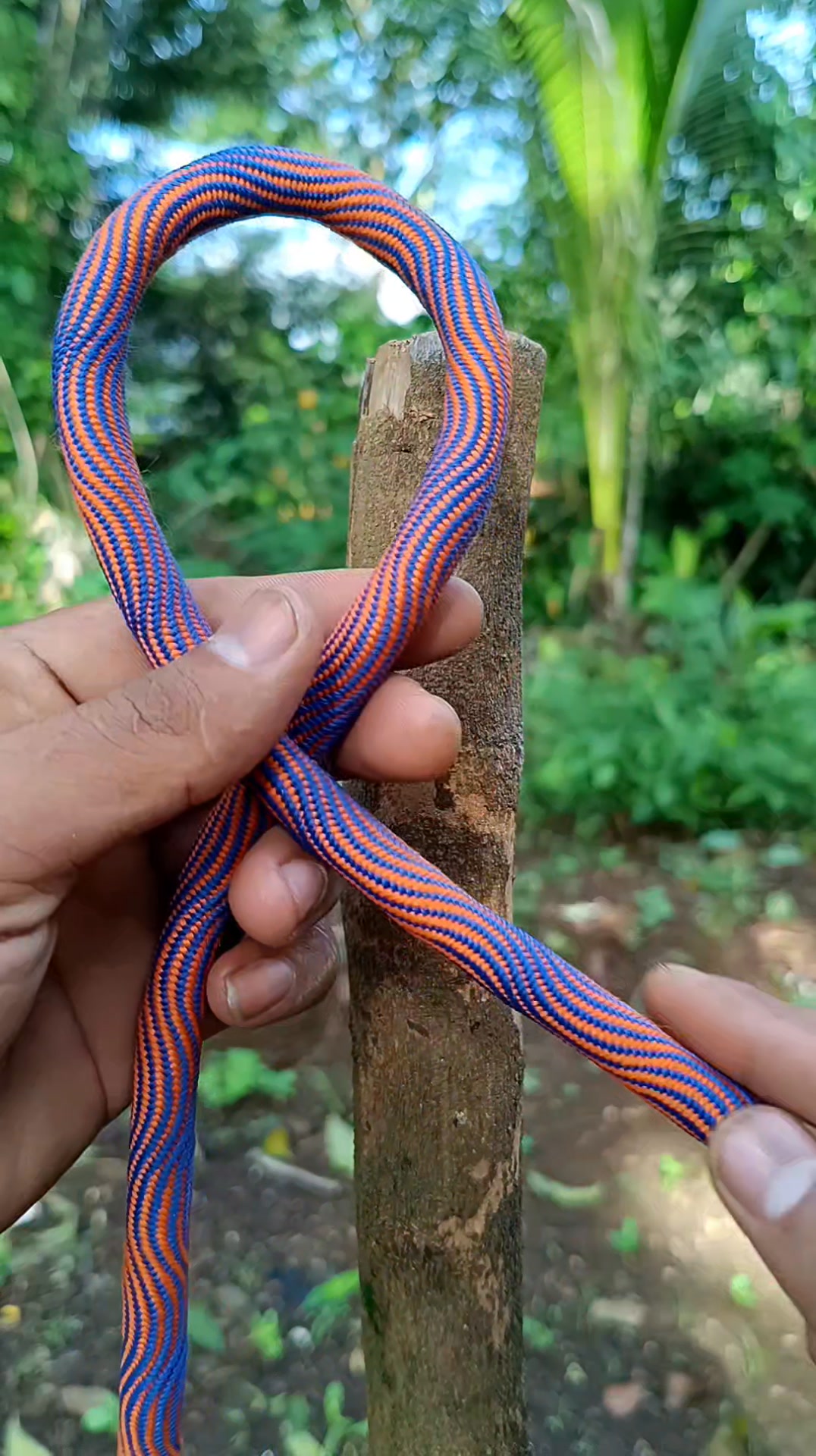 Learn This Amazingly Easy Rope Knot Technique Through a Fully Explained ...