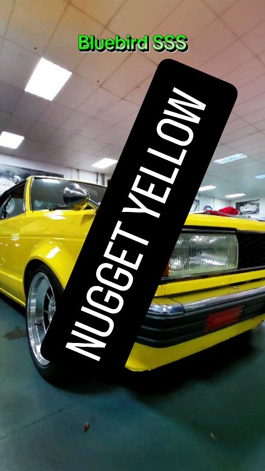 新一 Datsun Bluebird SSS. The 1981 Datsun Bluebird 1.8SSS is a compact