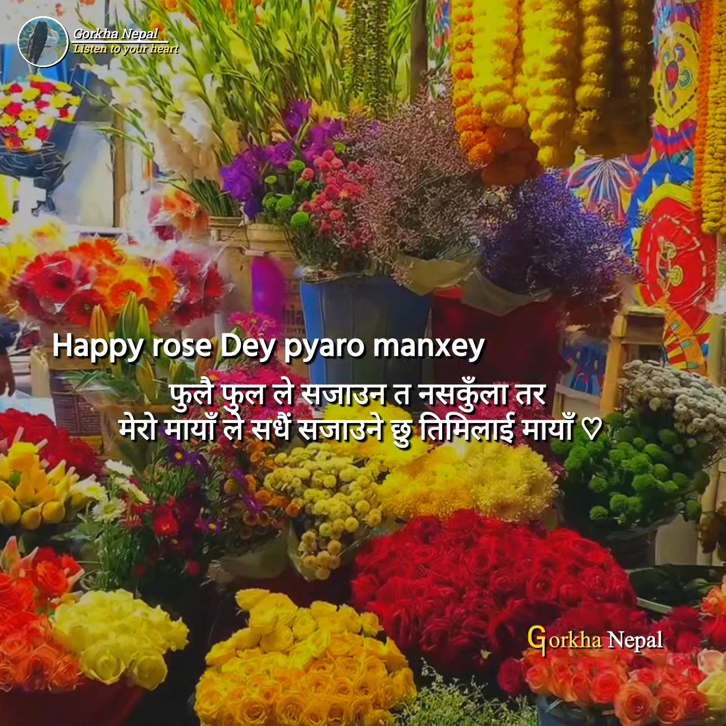 Happy rose Dey 🌹pyaro manxey 🌹 | Gorkha Nepal | Facebook