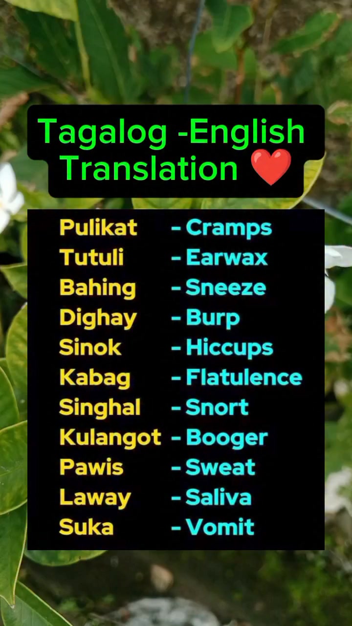 Tagalog-English Translation ️ Vocabulary Words ️ #translation # ...