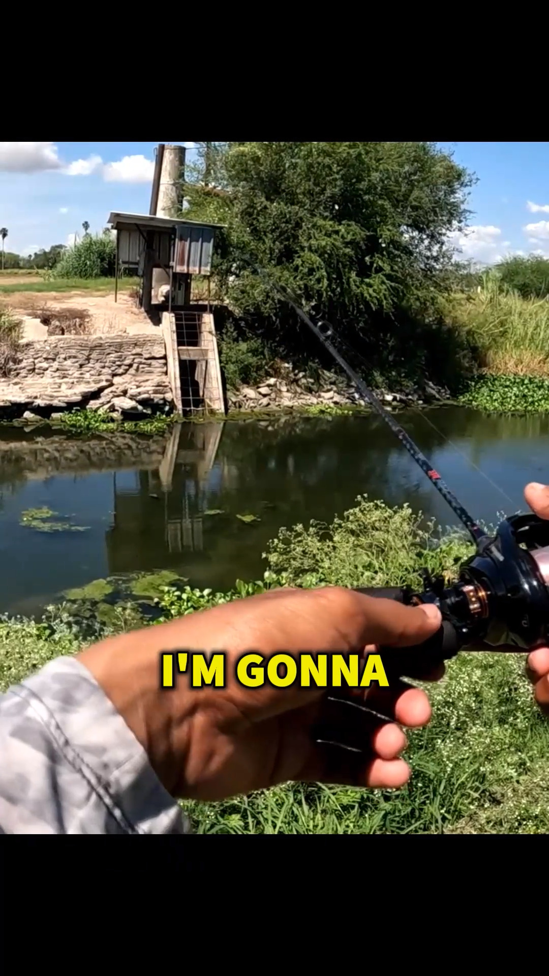Fish That Looks Like Lebron James? #fishing #fish #fishinglife # ...