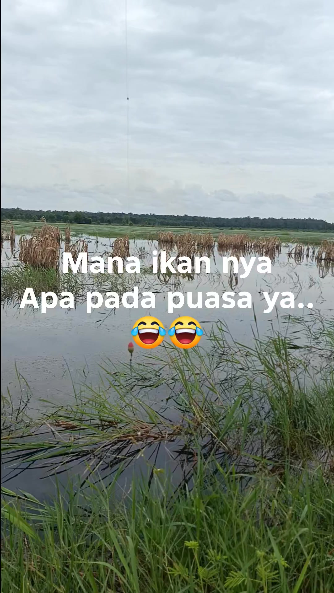 Binjir ikan | Agus Riadi | Facebook