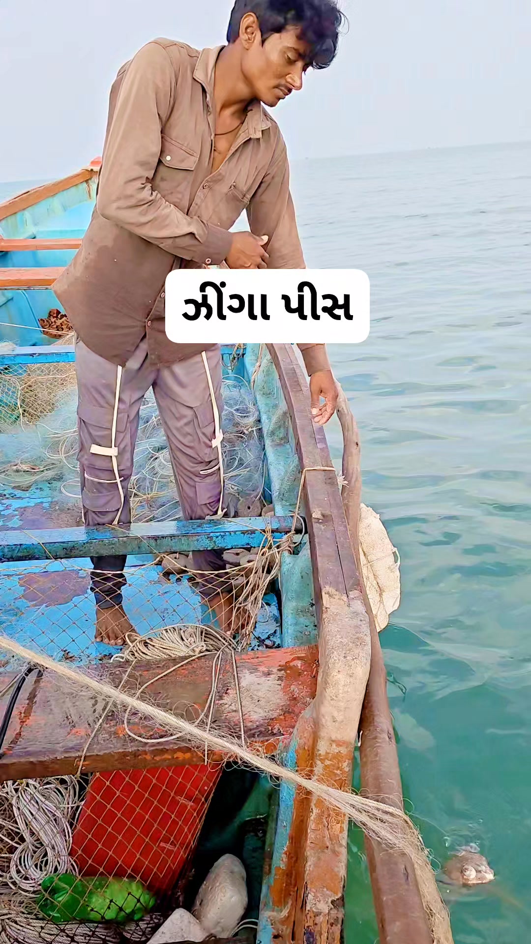 ઝીંગા પીસ #fishing #viralreelschallenge #video #follow 👈💝 | Farooq Bahi ...