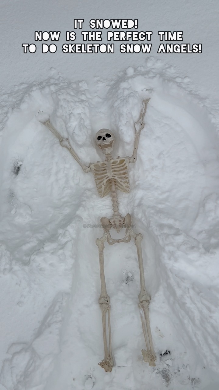 It snowed! Now is the perfect time to do skeleton snow angels! As of 10 ...