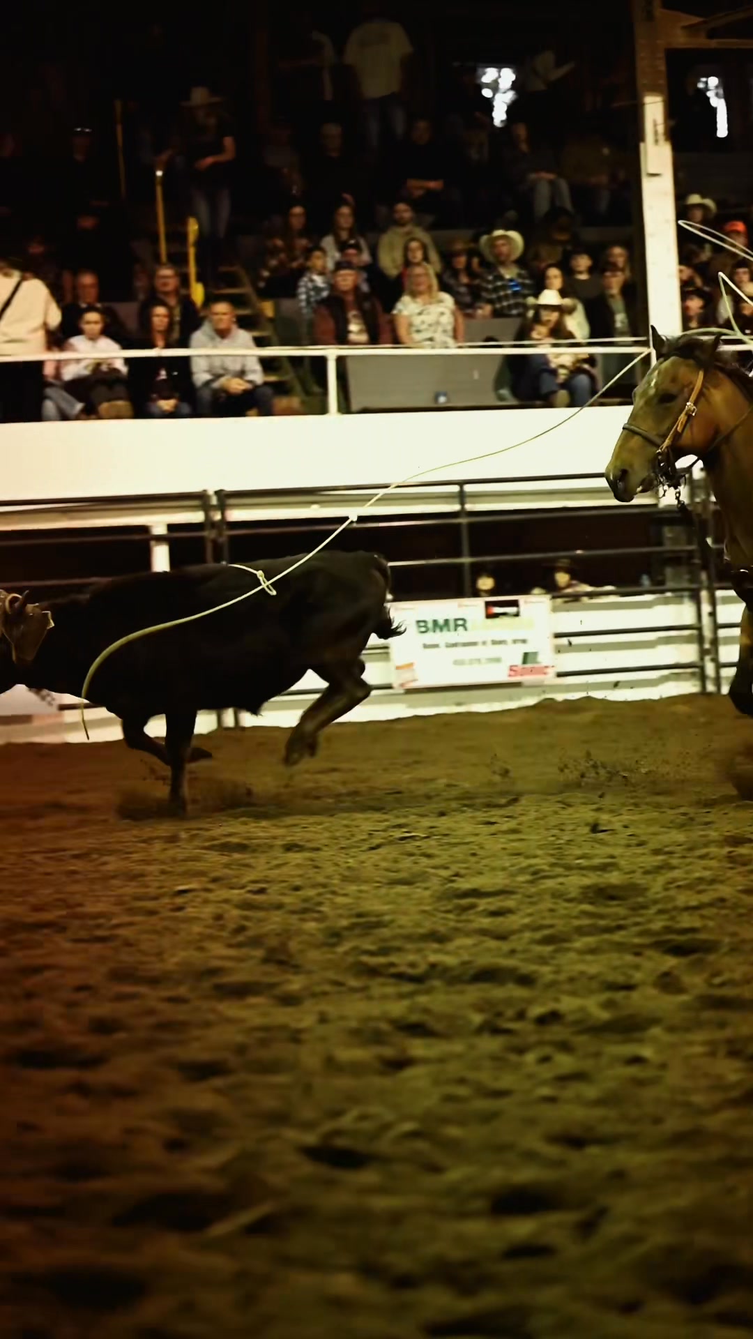 Get ready — the Metcalfe Rodeo is coming June 6 & 7! The countdown has ...