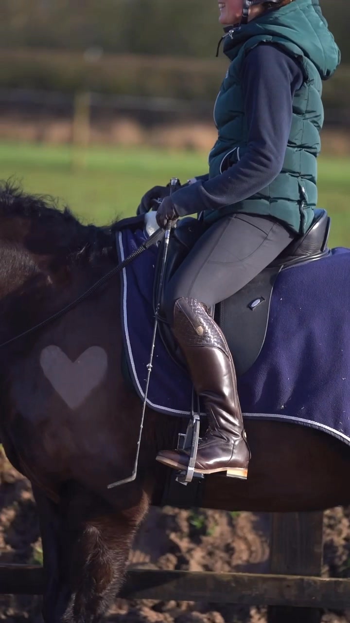 My Story with Smart Saddles.. I’ve been using Smart Saddles for nearly ...