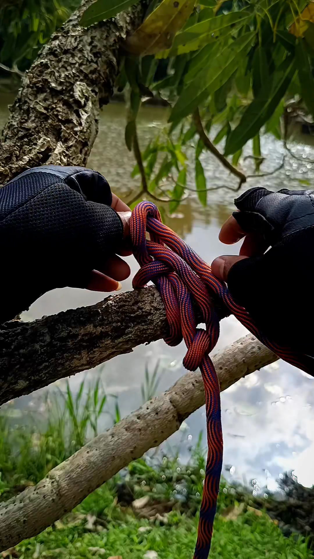 Must-Know Knots for Hiking and Camping #KnotTutorial #a #rope #HowToTie ...
