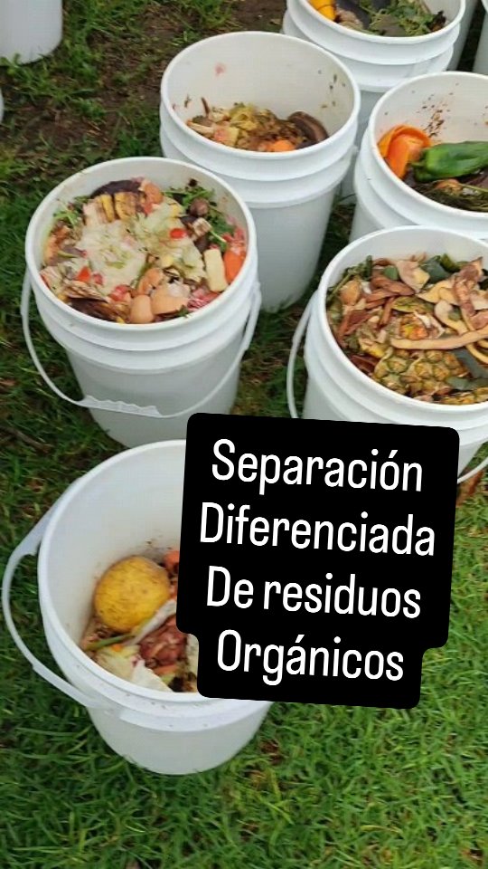 Residuos organicos separados de forma diferenciada 😃🌱♻️💯 #residuos # ...