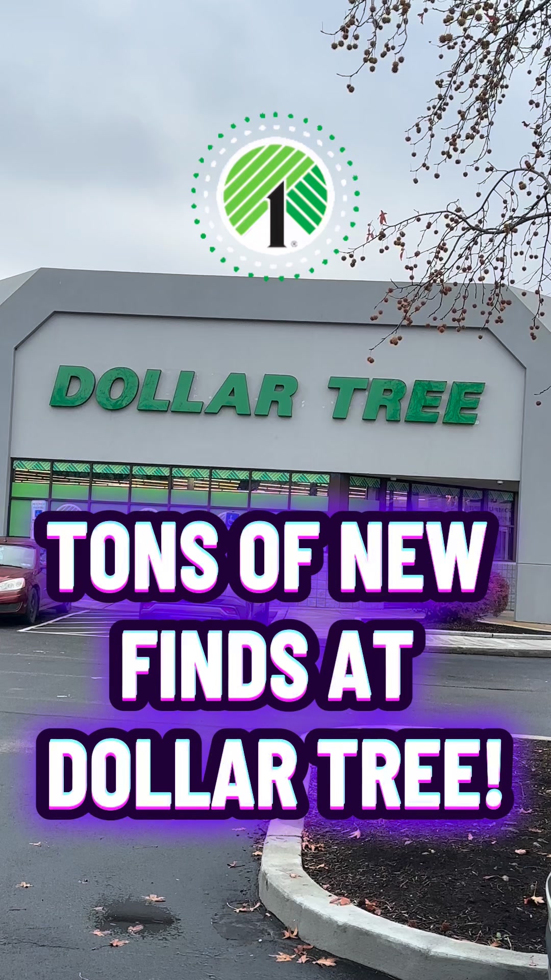 Tons of new finds at Dollar Tree today! This Dollar Tree had so many ...