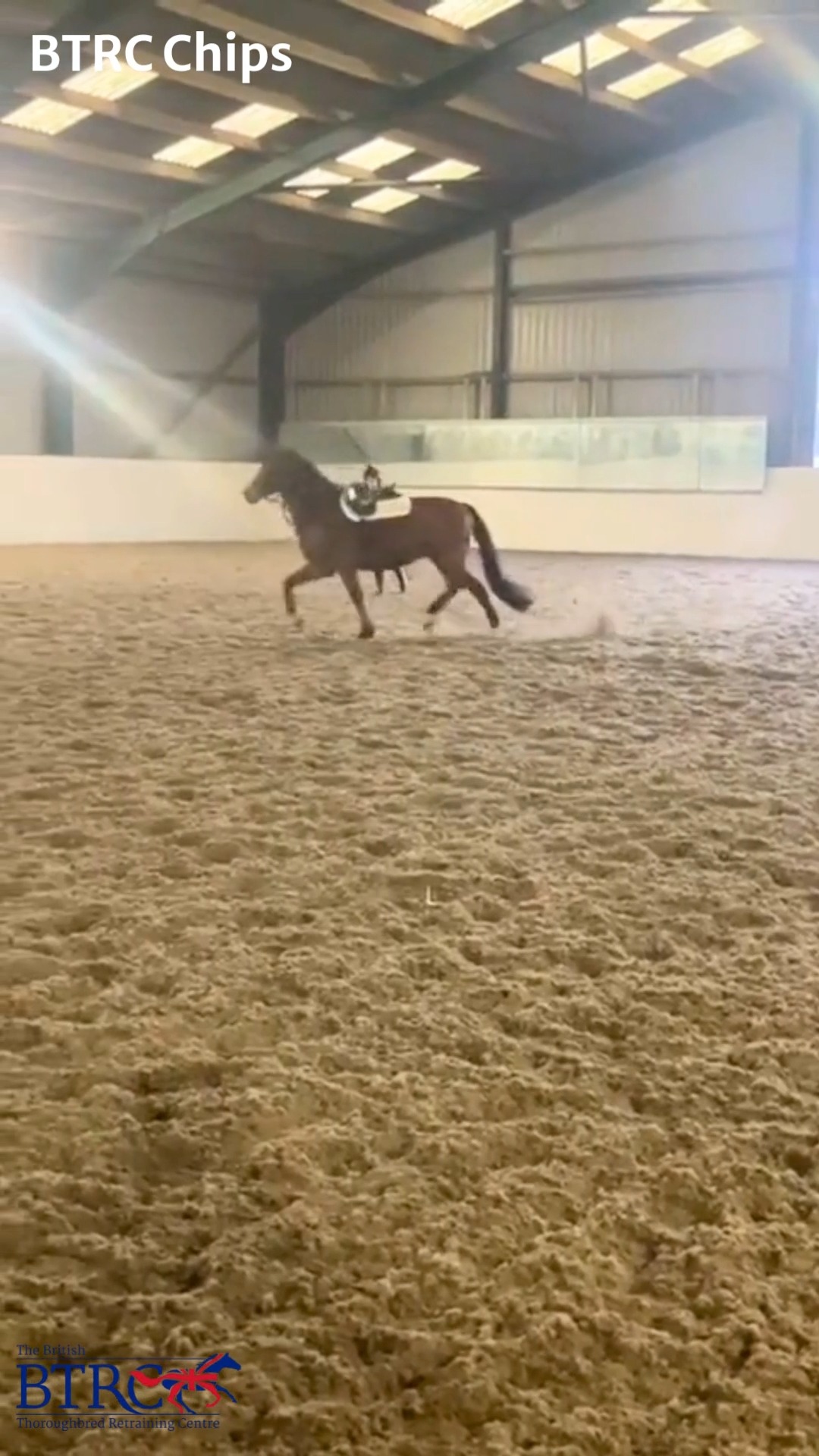 Morning exercise is well underway, and BTRC Chips is having a light ...
