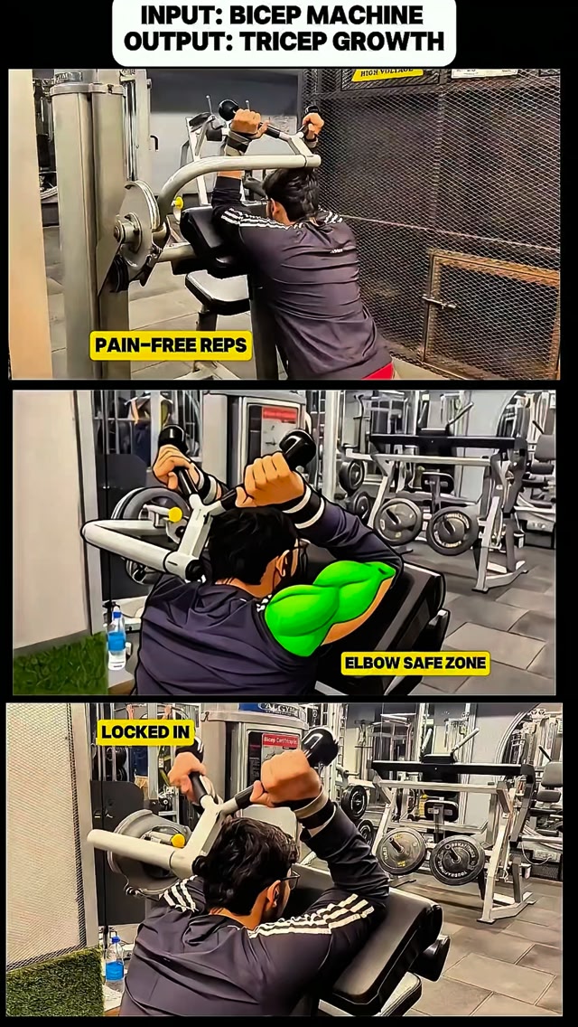 Input: Bicep Machine. Output: Tricep Growth. 🧬 If standard overhead ...