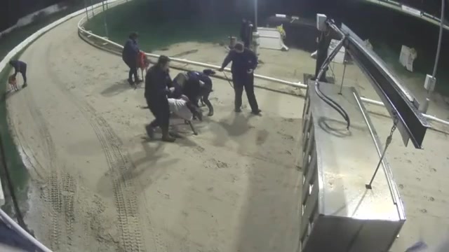 Here is a short clip from one of two recent races at Sunderland where ...