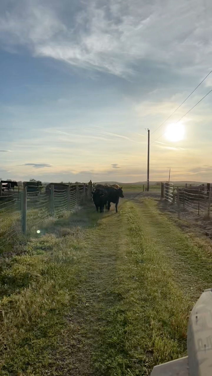 Emert Hay and Livestock | Echo OR