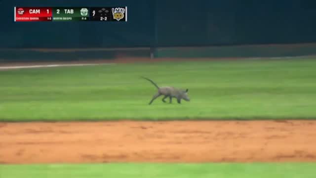 ¡Tenemos un nuevo integrante en el roster! 👀 El inning de la suerte nos ...
