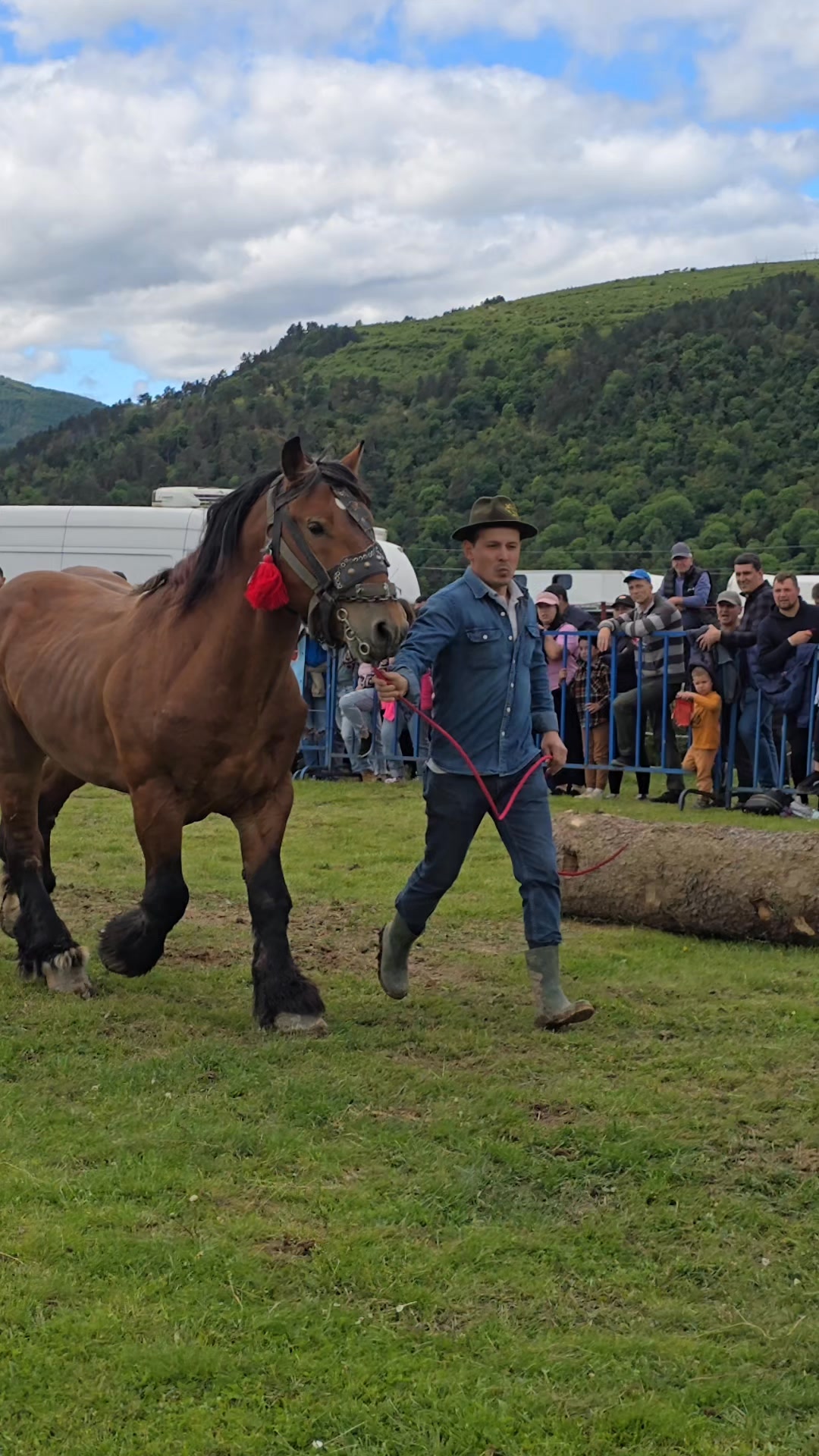 #Gilau #roxynafatacailor #pasiune #caifrumosi #caiRomaniei #Romania # ...