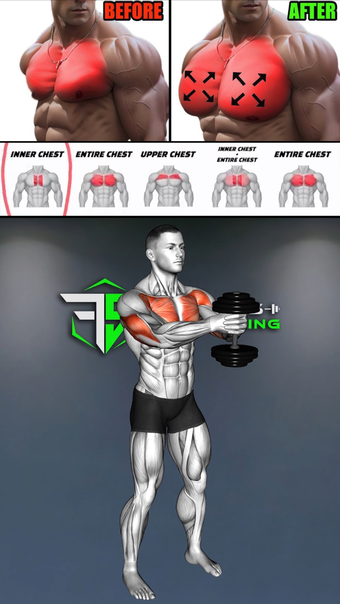 This Chest Workout Targets Upper, Mid and Lower Chest for Real Size and ...