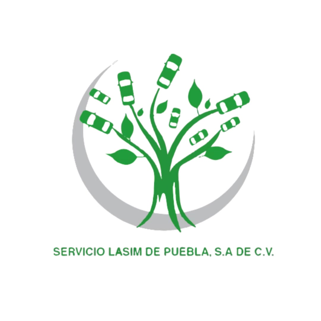 Servicio Lasim de Puebla | Puebla