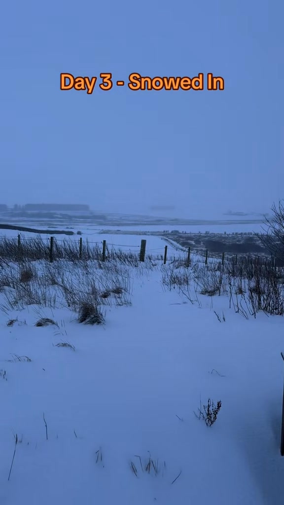 Day 3 of being snowed in. The weather is horrendous. It’s not stopped ...