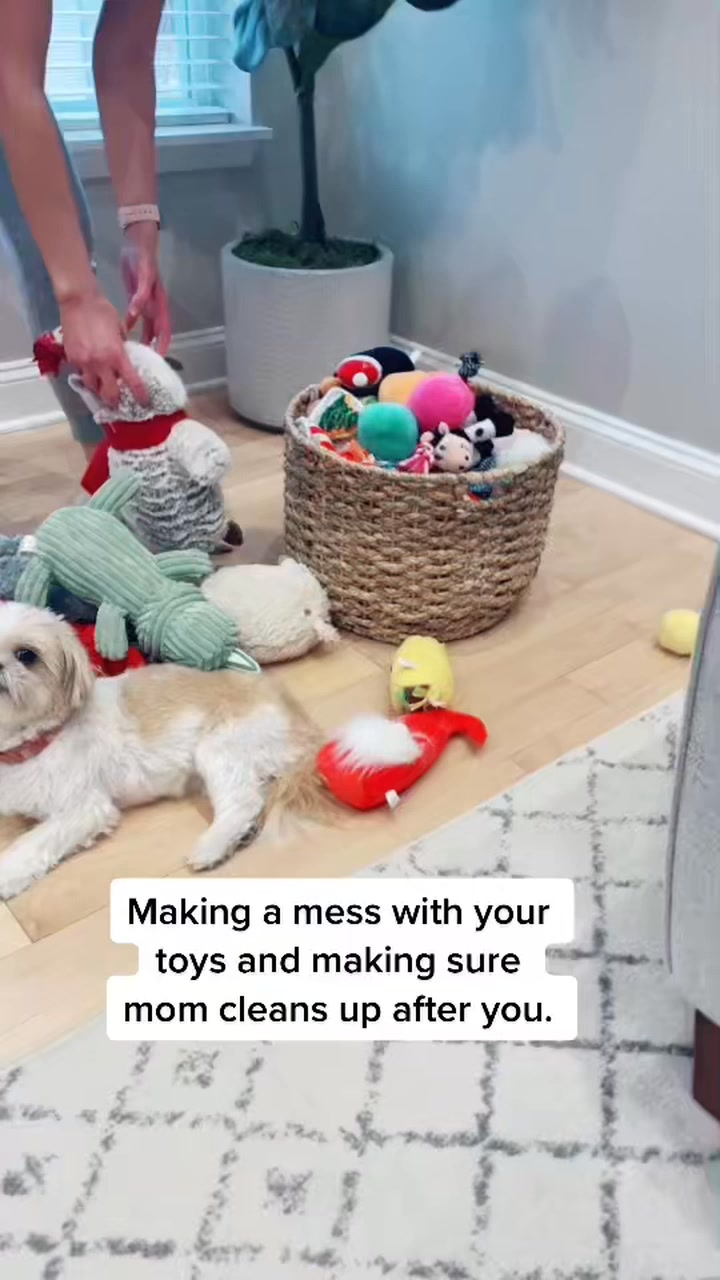 Easy Peasy #dog #easy #fblifestyle #cleanup #pet | Thatdogstella | Facebook