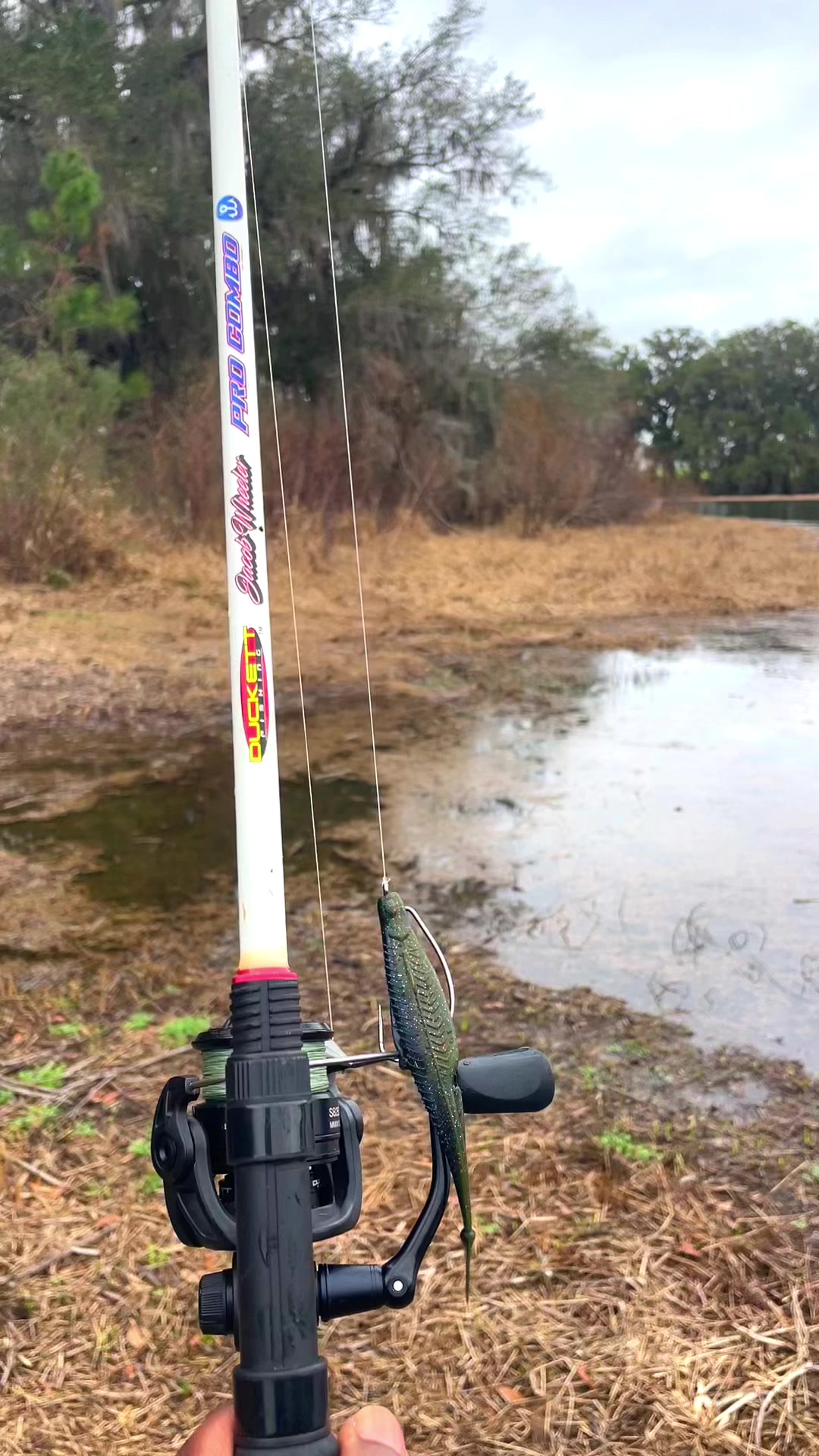 best fishing pole brands 2018 Defender Spinning Combo Color:Glow/Gold Rush 5/8 Oz Sensei UFC UFC 218, Full rod and reel
