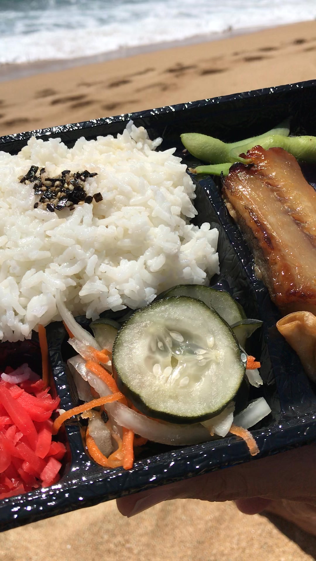 bento box blue fish Buy Carl Oscar - BentoBOX | Dolphin | BambiniJO | Amman A generous BLUEFISH SUSHI & GRILL -