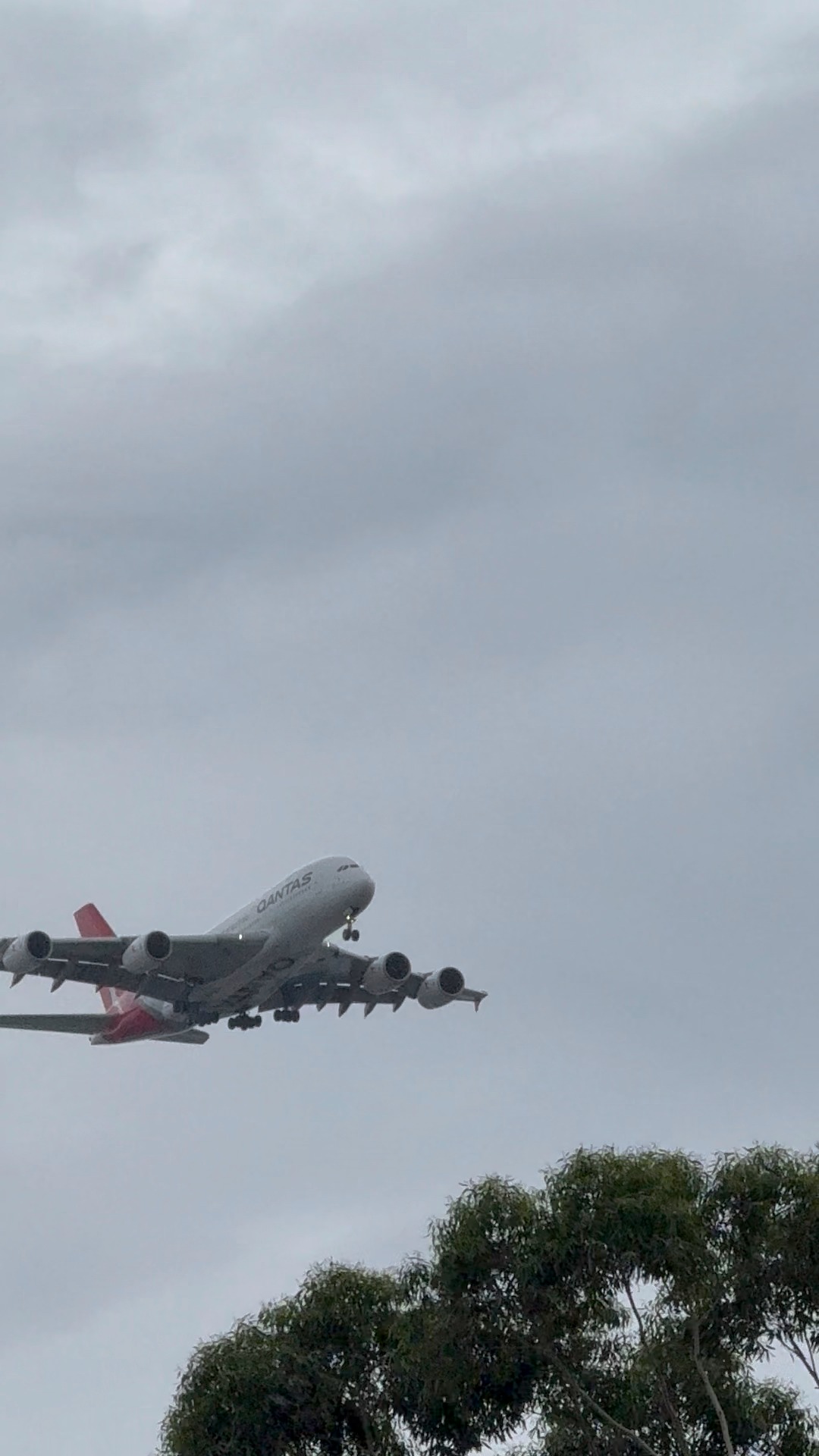 This mornings QF12 service from Los Angeles - Airbus A380-842 (VH-OQD ...