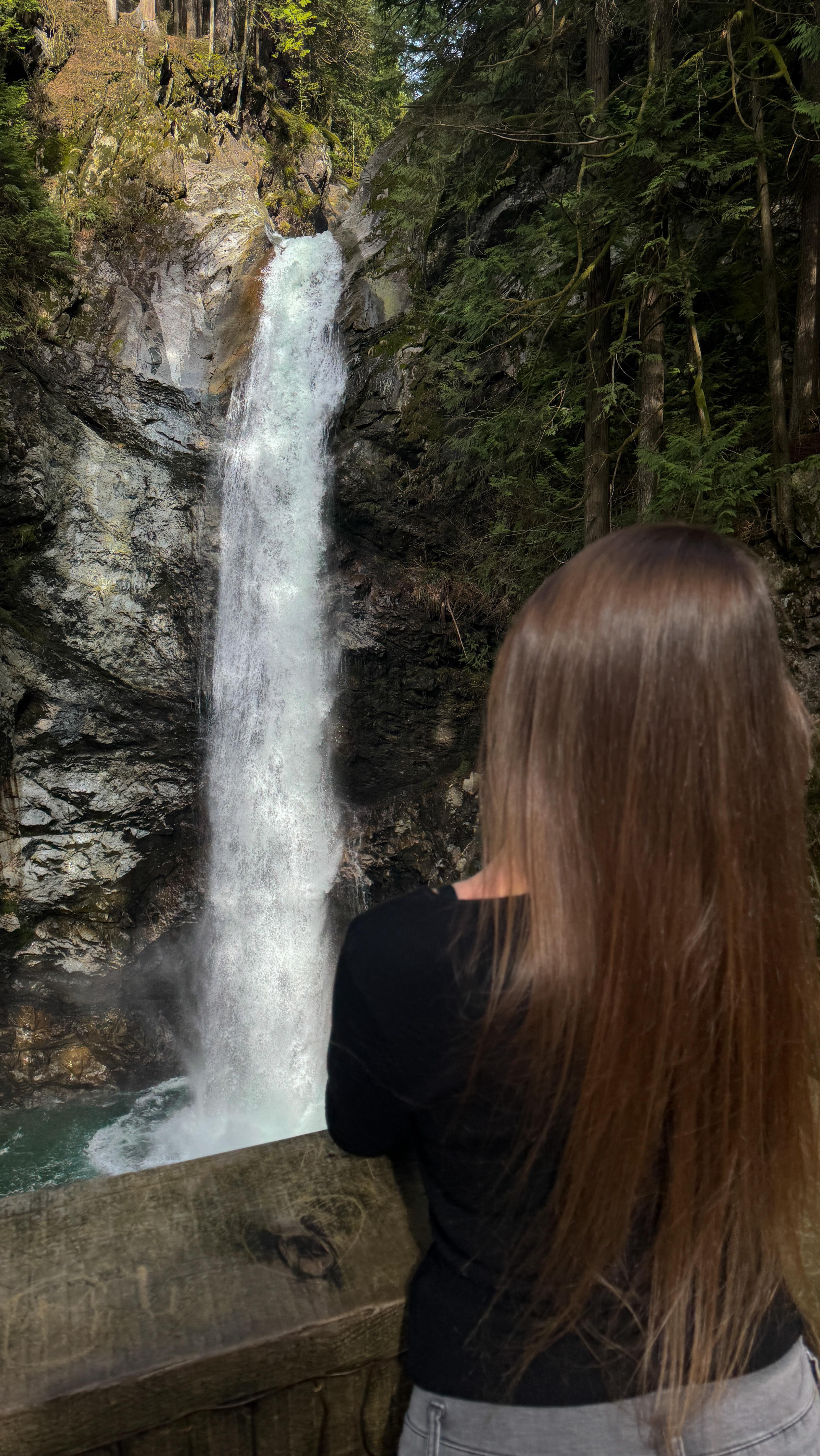 One of the coolest short waterfall hikes in BC! And it has a suspension ...