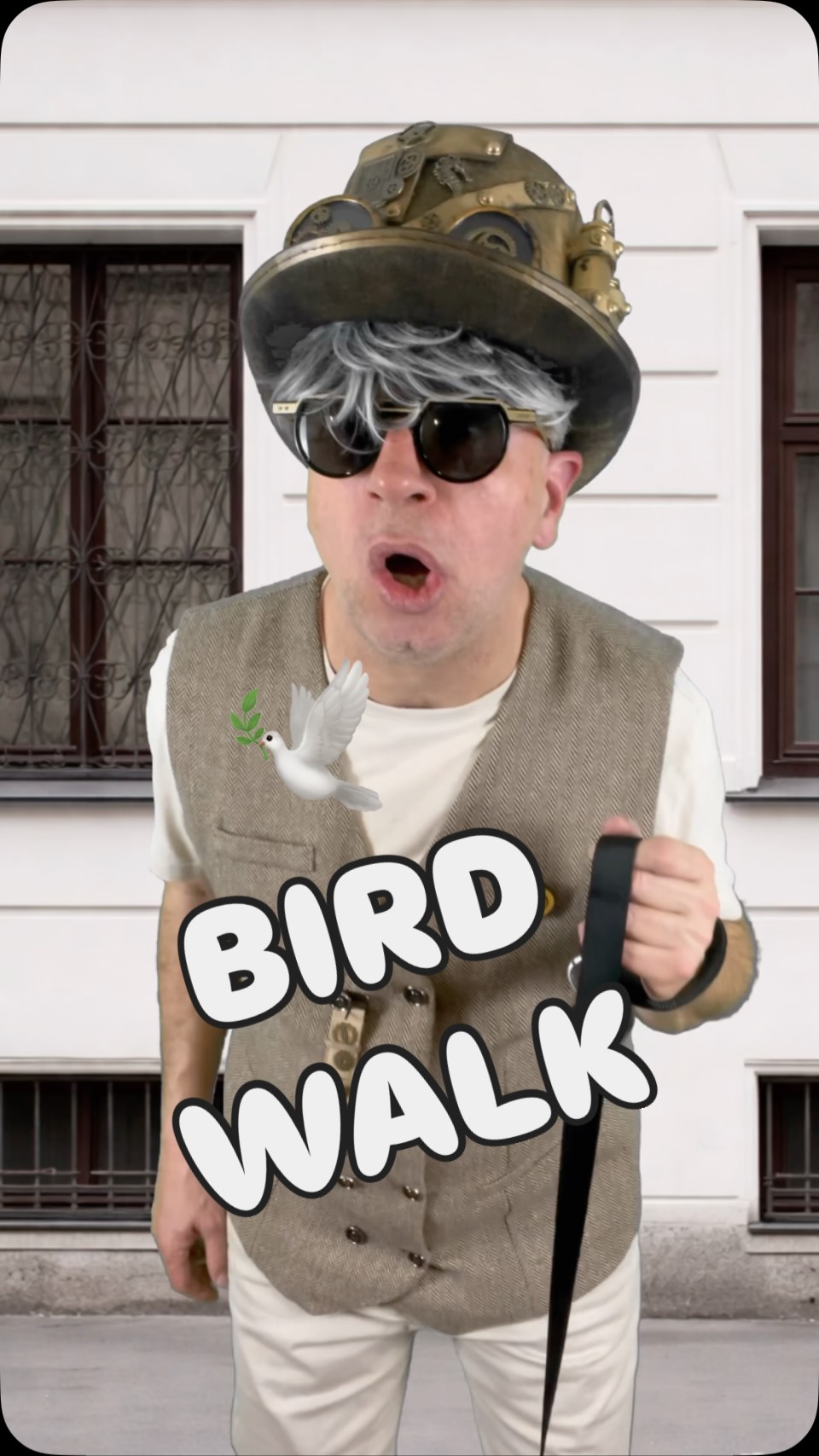 😂 PASEO RARO / STRANGE WALK • RANDOM • PET CHAOS • WTF LIFE 👀 ETB ...