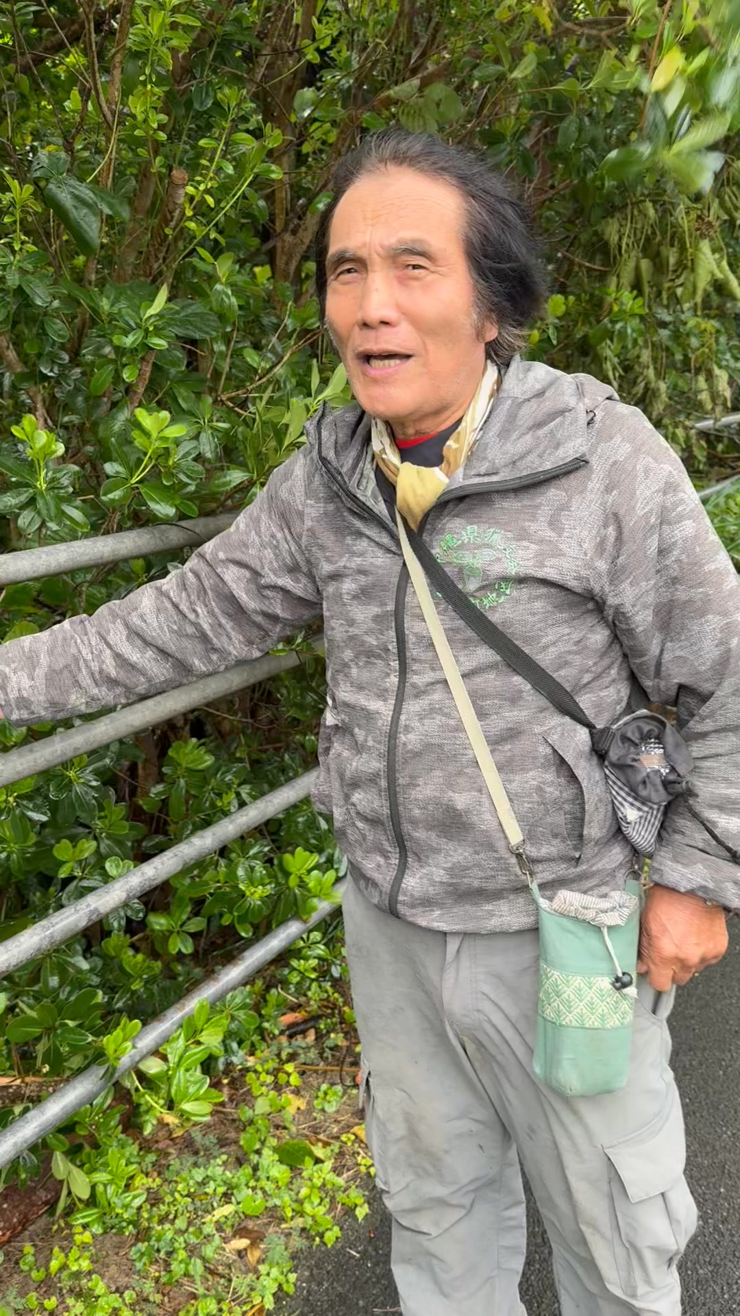 西表 島 ロビンソン