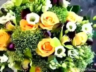 أيها الأحباب عذرا إن بخلنا بالوصال . . زحمة الدنيا غوتنا طال فيها ...