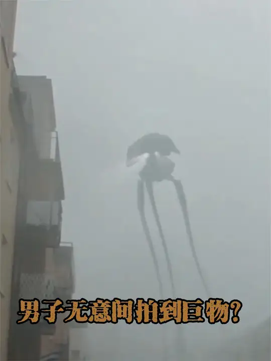 2018年小夥子無意間拍到雨霧中的巨物，越多人在雨中發現！ #奇聞異事 #不明飛行物 #獵奇 #未解之謎 #UFO | 大郎野史 | Facebook
