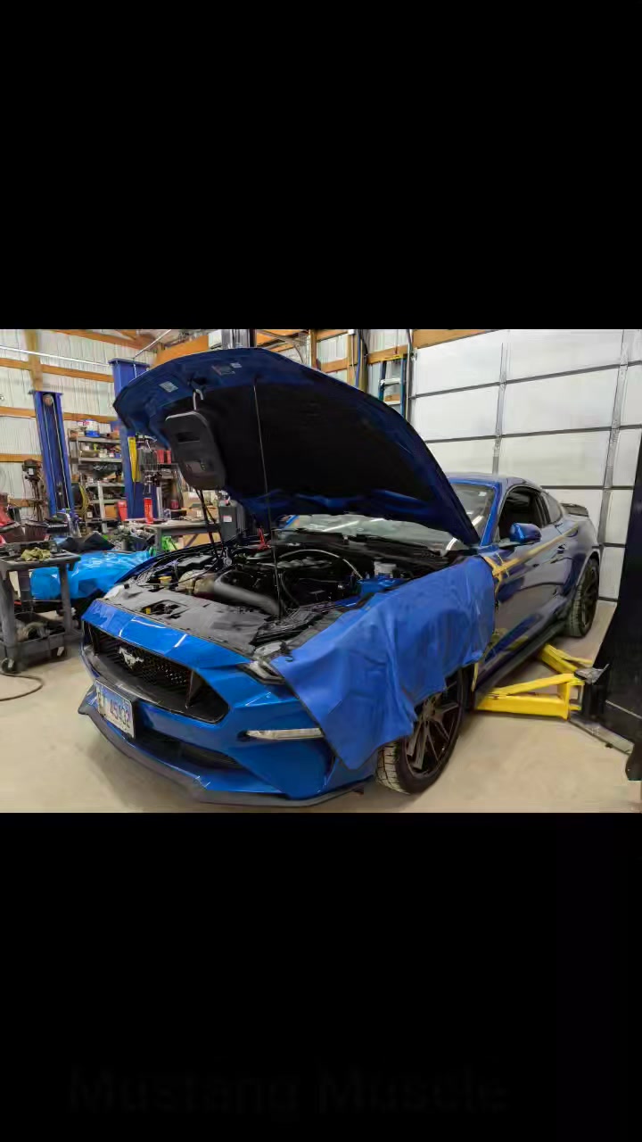Mustang Muscle Performance & Dyno Service | High Ridge MO