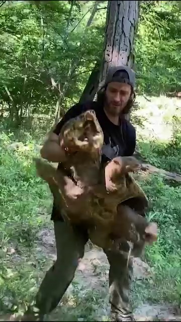 Disturbing Mutant Creatures That Science Can’t Explain #mutant # ...