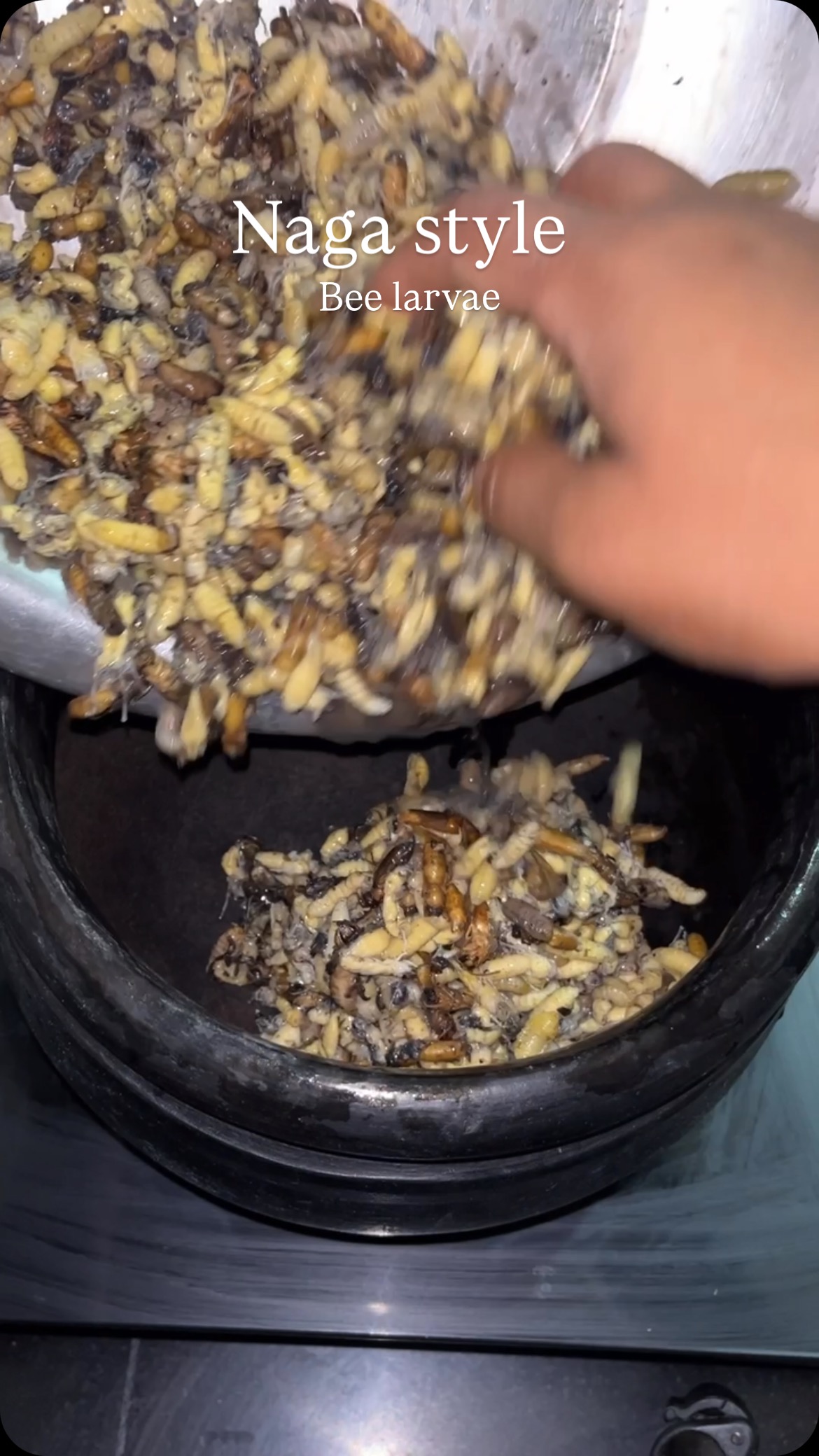 Simple way of cooking Bee larvae with minimal ingredients … Expensive ...