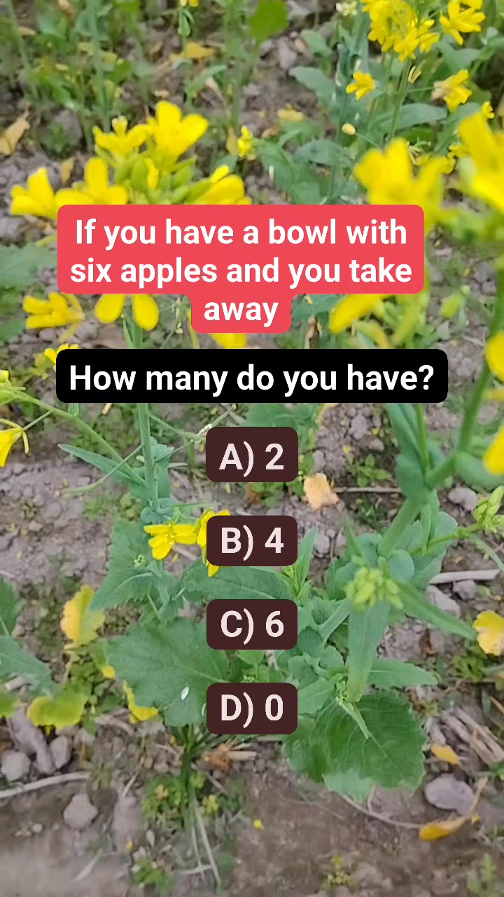 #riddle #puzzle #reels | Puzzle Point 2.0 | Facebook