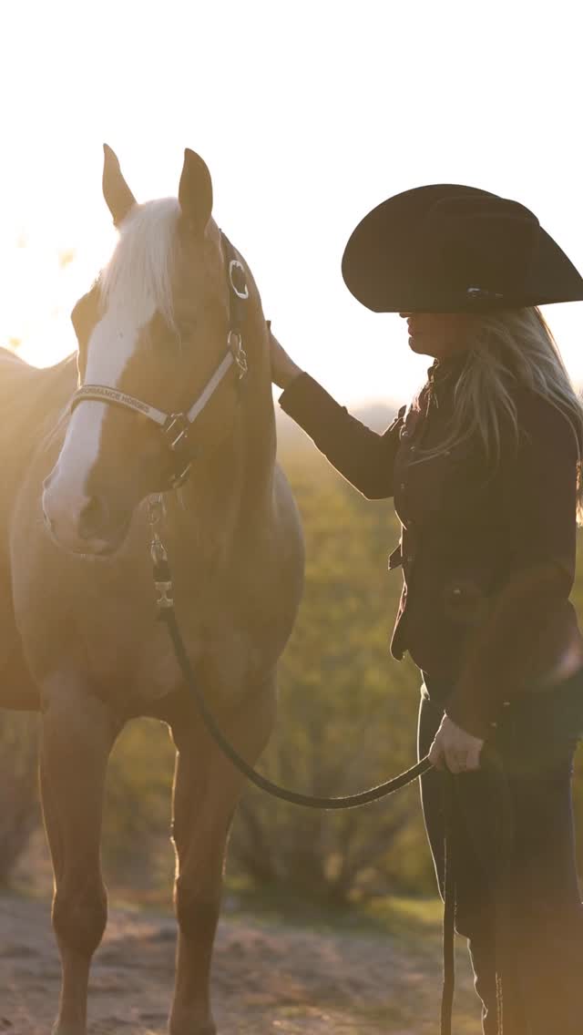 Meet Paly 2020 AQHA gelding 15.2 HH of honest kind and easy When life ...