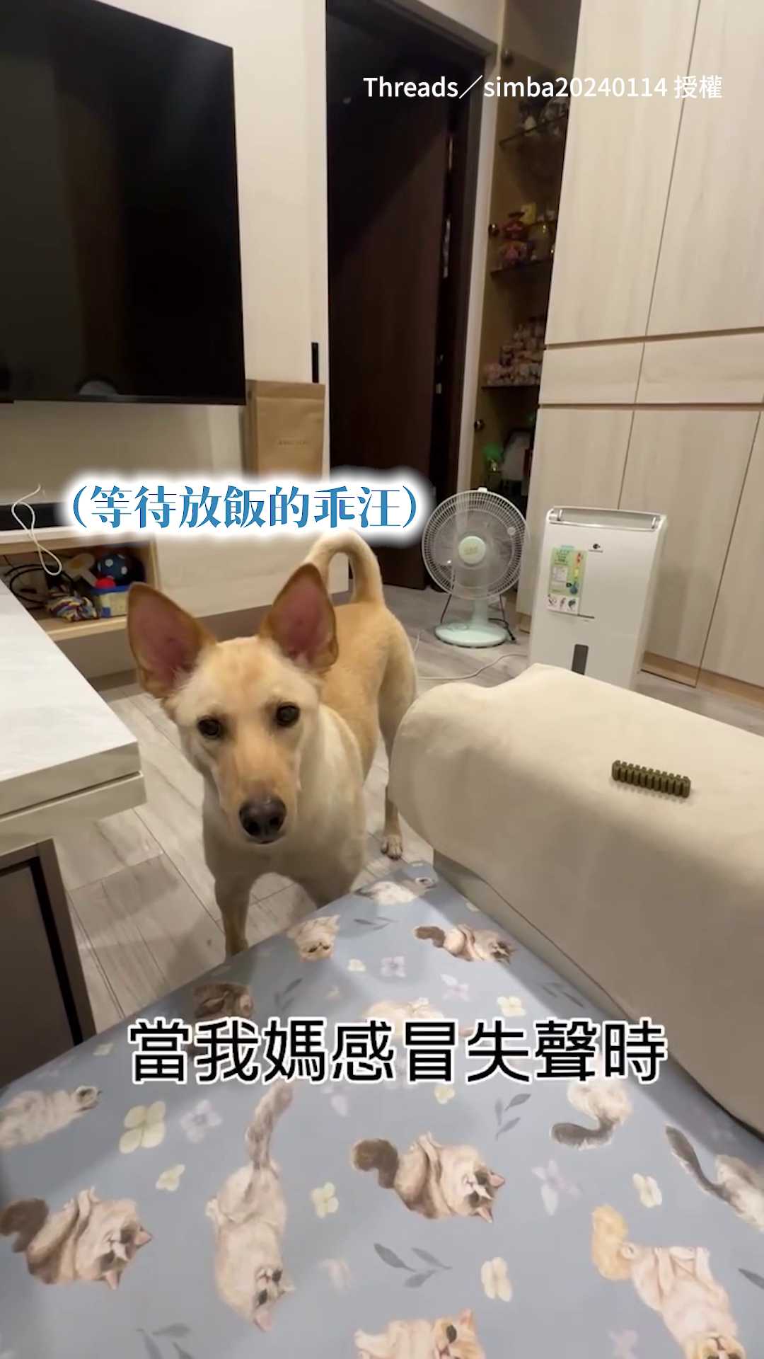 【語音辨識失敗XD】狗勾：主人聲音壞了 我飯還能吃嗎？ 影片授權：Threads／simba20240114 | ETtoday新聞雲 ...