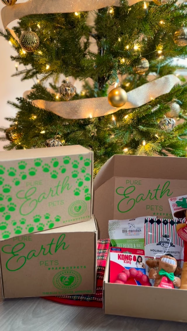 Wait for it… this might be your dog’s favorite gift 🎄🐶 No wrapping ...