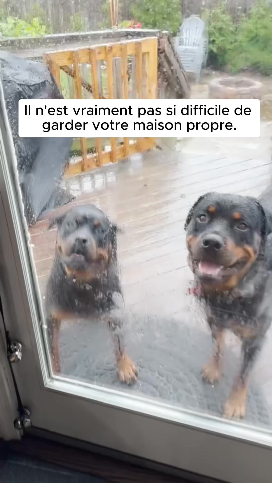 1007326_6 1007326_6