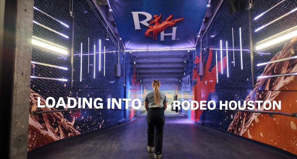 おはんちゃ The newest ride at this year's rodeo Houston is called the Titan