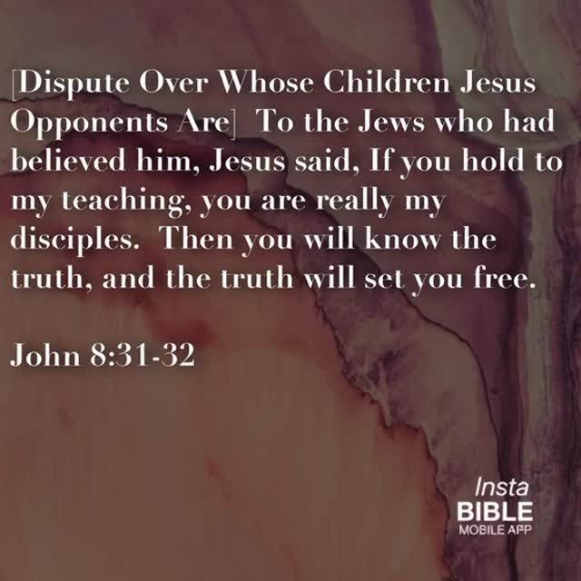 John 8:31-32… download app 📲 @theinstabibleapp … link in bio… #Dispute ...