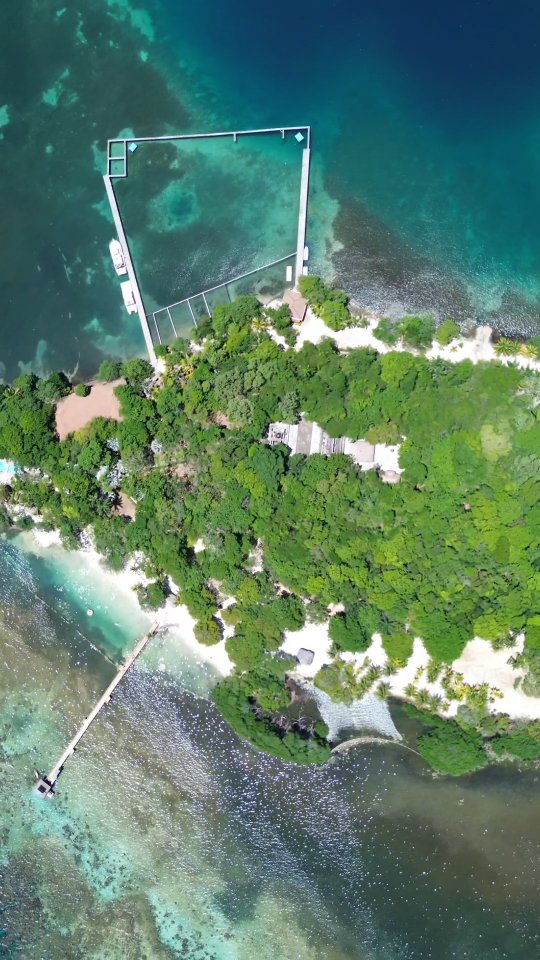 Maya Key magic! 🏝️ From the cruise ship view to amazing snorkeling over ...