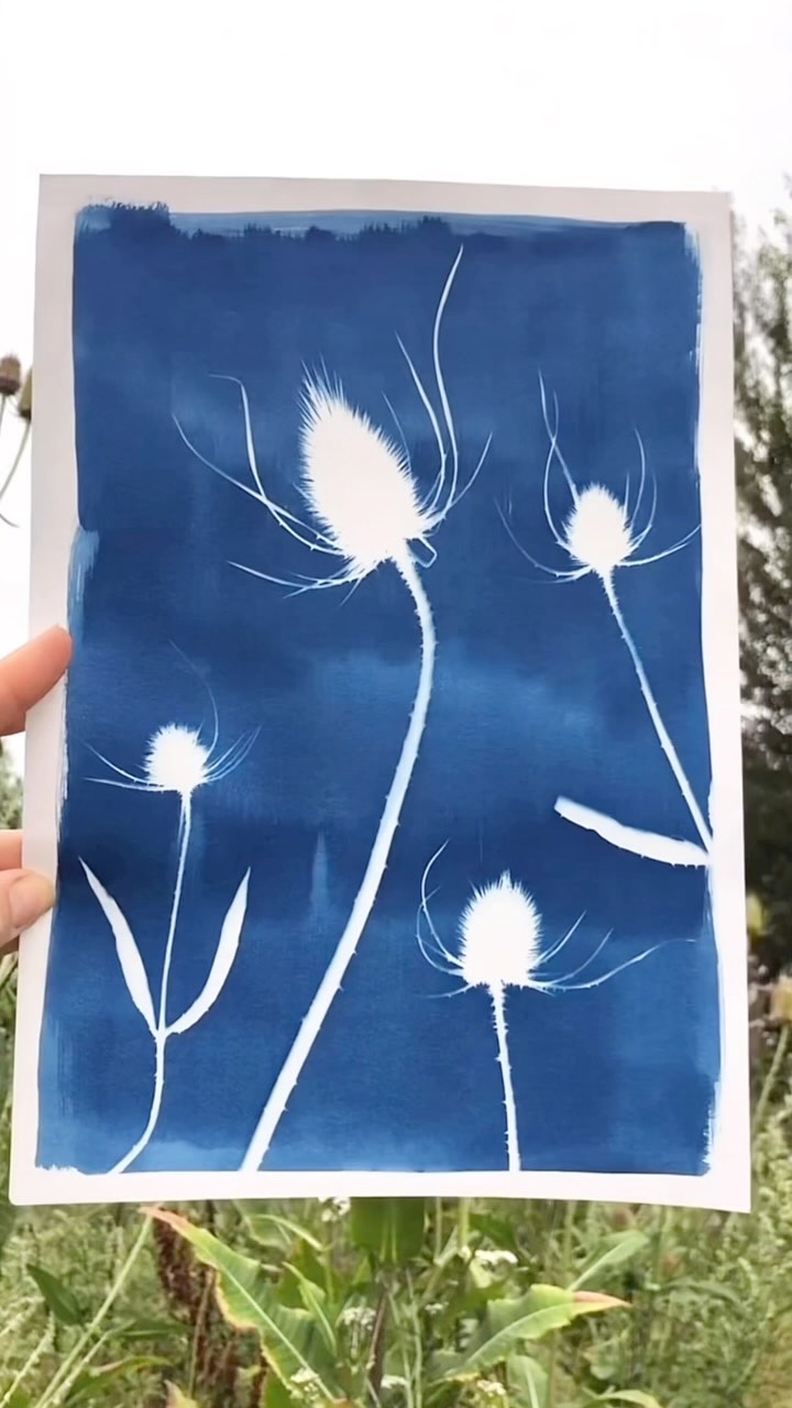 Who knew this plant was once a wool crafter’s secret weapon? 🧶 Teasels ...