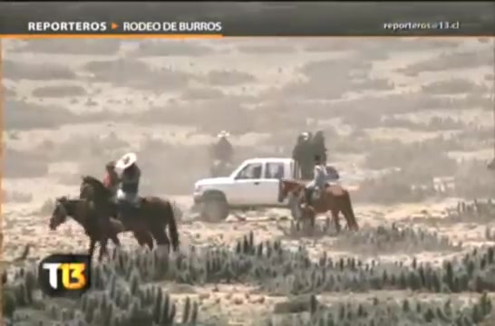 REPORTAJE REALIZADO POR CANAL 13, al tradicional RODEO DE BURROS para ...